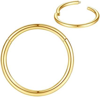 316L Surgical Steel Nose Rings Hoop Septum Clicker Hinged Segment Ring Lip Ear Piercing Earrings for Cartilage Helix Tragus Conch Rook 20g 18g 16g 14g 12g 10g 8g,Inner Diameter 5mm to 22mm