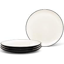 Noritake Colorwave Graphite Set of 4 Coupe Dinner Plates, 10-1/2"