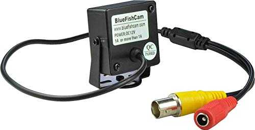 BlueFishCam Super Wide Angle Lens 2.1mm Mini CCTV Security Camera Indoor Cmos 1000TVL with Ir Filter Surveillance Motion Detection