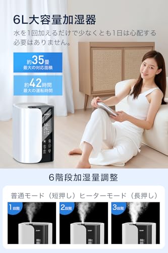 Piddiy 加湿器 6L ハイブリッド式