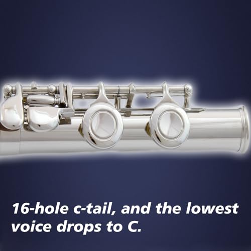 Image of flute 16-hole closed-hole C-tone nickel-plated, beginner to play graded flute, with box and cleaning kit.