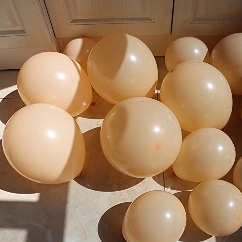 Image of Latex Balloons, 100-Pack Different Sizes 18 12 10 5 Inch Party Balloon Garland Kit (Retro apricot Nude)