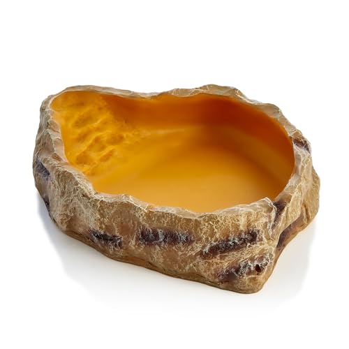 Swell Reptiles Premium Water Dish | For Reptiles and Amphibians (Large)
