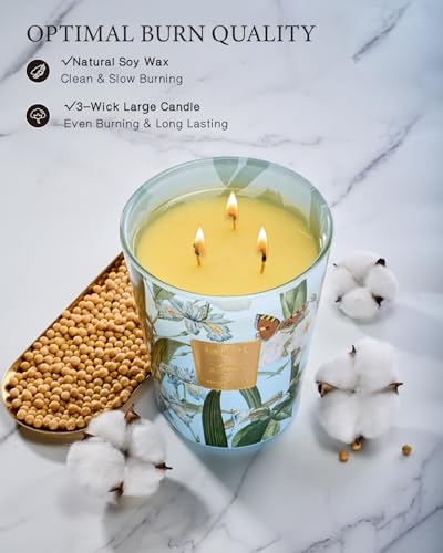 M&Sense MSEL2202EUF JASMINEGARLAND Jasmine Candles Highly Scented 3 Wick 35Oz 150 Hours Burn Extra Large Jar Candles thumb #2