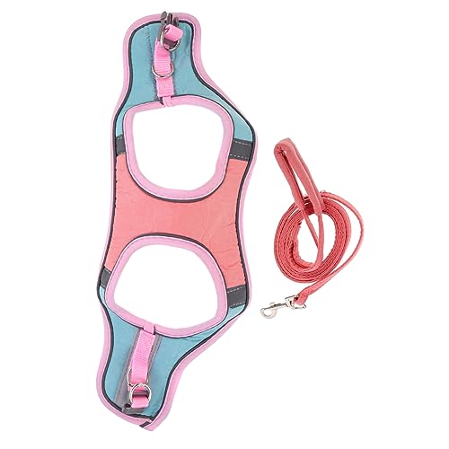 ibasenice 1 Set Pet Walking Rope Cats Leashes Kitten Lead Cat Leash Soft Small Cat Outdoor Puppy Kitten Harness Leash Suit for Pets Harnesses Vest Accessories Pet Controlling Rope Suede