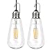 Leadleds USB LED Light Bulbs, Outdoor Portable Dimmable Camping LED Warm White Lightweight Lantern, Shatterproof Hanging Lights Bulb for Garage, Warehouse,Tent, Emergency, 3W 2700k ( 2Pack)