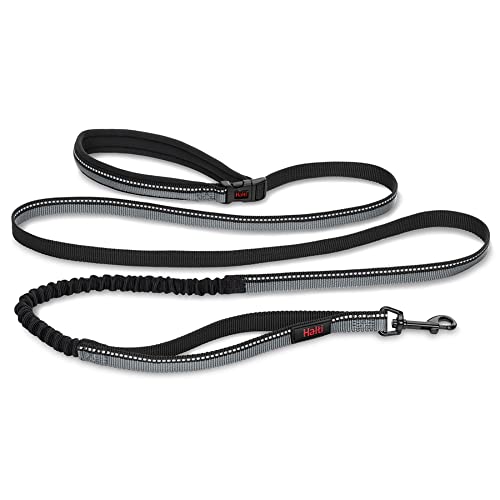 HALTI Aktiv Hundeleine – Griff mit Neopren-Polsterung, 3M-Reflektorgewebe und Stoßdämpfung. Freihandleine, Ideal zum Laufen mit mittelgroßen und großen Hunden (Größe Groß, Schwarz)