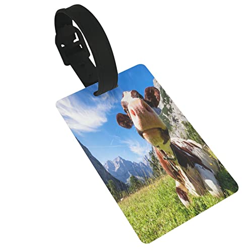 �o�b�O�p�l�[���^�O 3d���J�[���F���f���R�� ���s�^�O �o�b�O�p�l�[���^�O ���D �X�[�c�P�[�X ���s �o�� �C�O �����h�~ [���s�A���i]