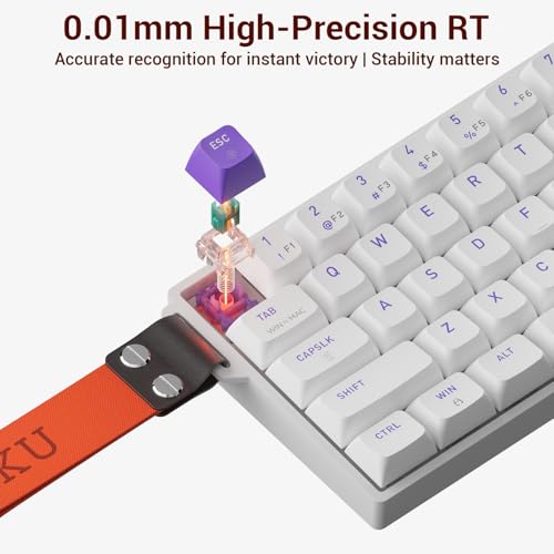 Image of Hexgears HK-K22 Gaming Keyboard with Hall Effect Magnetic Switch, Rapid Fast Magnetic Keyboard with Adjustable Trigger, 8000Hz Polling, RGB Backlit 65% Compact Keyboard Design for PC(White)