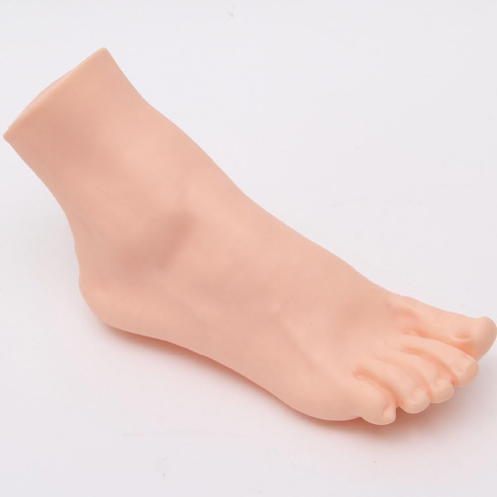 Lifelike Manikin Feet PVC Foot Lifesize male Mannequin Foot Model for Painting Teaching Arts Drawing Sketching Jewelry Display -Right Foot,24.5cm - Image 4