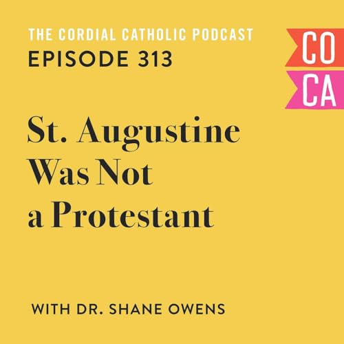 『313: St. Augustine Was Not a Protestant! (w/ Dr. Shane Owens)』のカバーアート