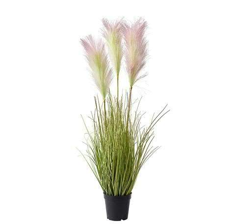 Klocke Kunstpflanzen Schilfgras im Topf - Neu 2020 - Hochwertiges Grasbüschel/Grasbusch/Grasbündel/Ziegras/Ufergras/Schilf Dekogras (Höhe: 80cm) Cover