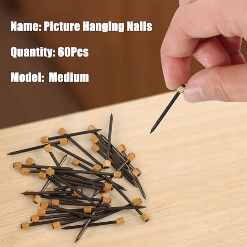 Image of SPEEDWOX 60 Pcs Picture Hangers Black Steel Nails and Brass Head Frame, Picture Hanging Nails for Hanging Picture Painting with Plastic Storage Box Holds Up to 5-30 lbs(Medium)