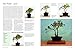 The Complete Practical Book of Bonsai: The Essential Guide to the Selection, Cultivation and Presentation of Miniature Trees and Shrubs, with Over 800 Photographs