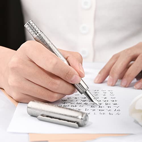 Hongdian 100 Silver Steel Piston Fountain Pen, Iridium Extra Fine Nib Calligraphy, Smooth Writing Pens, Nice Writing Pen For Men & Women #TOP6