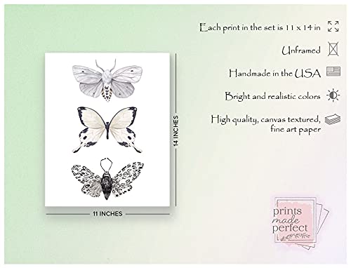 Miniatura 2 de Butterfly Wall Art - Black & White Butterflies Decor - Watercolor Art Print - 11x14  Unframed Poster