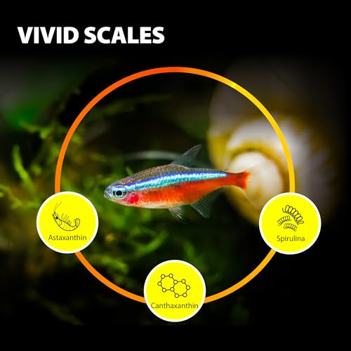 Purify Series for Tetra Fish Food, Small Tropical Sinking Pellets, Suitable for Betta, Guppy Fish, All Natural Ingredients, Balanced Composition of Fish Feed, 2.65 oz (Pack of 1)