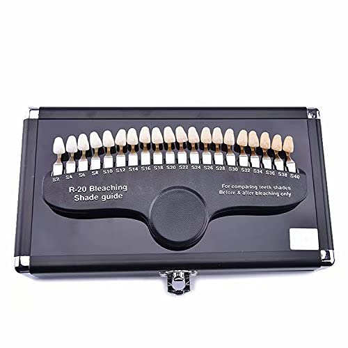 Dental Tooth Teeth Shade Guide 20 Colors 3D Dentist Tracking Teeth Whitening Course R-20 #TOP1