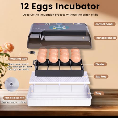 MUALROUS Incubators for Hatching Eggs Poultry Automatic Egg Incubator 12-35 Eggs Smart Chicken Incubators Automatic Egg Turning for Hatching Chicken Quail Duck Bird Eggs