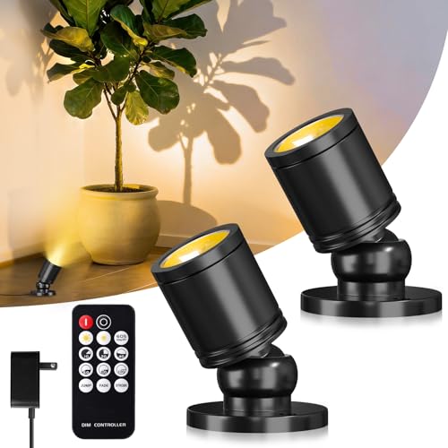 TobeBright Mini LED Spotlight with Remote Control, Dimmable Small Spot Lights Indoor Plug in, Wired Spotlights for Displays Art Model Plant Picture (Warm White-2 Lights in 1 Plug)