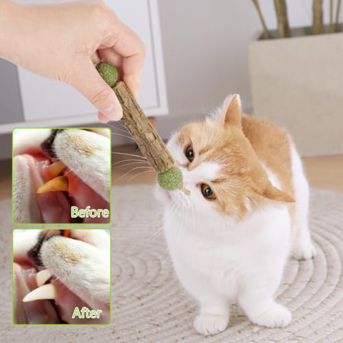 OSDUE Katzenminze Sticks, 6 Stück Matatabi Kausticks mit Ball Katzenminze Spielzeug Katzen Kauhölzer Sticks für Katzen Zahnpflege & Gegen Mundgeruch Natürlich Sicher Katzensticks Kausticks Set