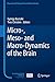 Produktbild Micro-, Meso- and Macro-Dynamics of the Brain (Research and Perspectives in Neurosciences)