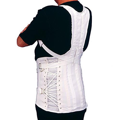 Dorsolumbar Support for Spinal Posture Alignment