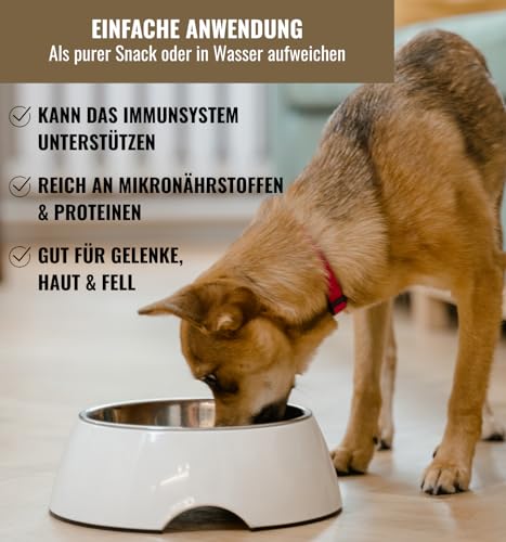 RiNa`s 100% LAMM-Mix (110g) | Gefriergetrocknete Hundeleckerli aus 100% Fleisch mit Pansen & Knorpel | Lang haltbar | Fettarm und proteinreich | In Wasser aufweichen oder als Trockensnack