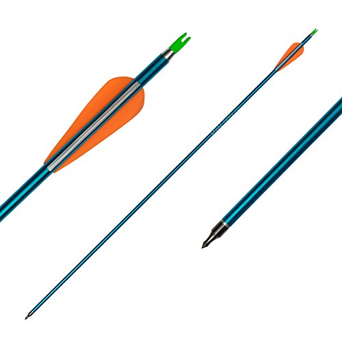 Tongtu 12-pack aluminum arrows, 31 Inch Archery Arrows Hunting Spine 500 Replacement Points for Compound and Recurve Bow - Image 8