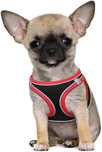 HEELE Dog Harness Small Dog Puppies Step-in Soft Mesh Harness Reflective Lightweight Breathable Visible in Dark Harness with Floral Pattern, Comfort for Walking Training, Black Flower, XS