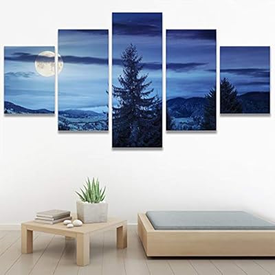 SIGNWIN 5 Panel Canvas Wall Art Modern Art...