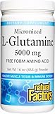 Natural Factors Micronized L-Glutamine 5,000 mg Powder - Easy Absorption Gut Health Support Supplement - Powder Amino Acid Supplement Supports Muscle Recovery - 16 oz (90 Servings)