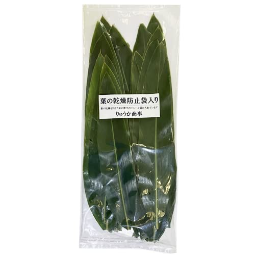 Amazon｜沖縄産 月桃の葉30枚セット（未洗浄）｜観葉植物 オンライン通販