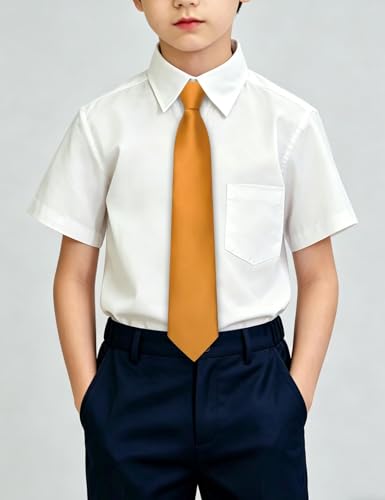 Image of Hi-Tie Pretied Boys Ties Solid Color Kids Adjustable Necktie Lapel Pin Clip Set Age 8-12 Wedding School Graduation