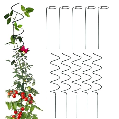 Lot de 10 piquets en spirale pour plantes grimpantes et plantes grimpantes - Idéal pour les tomates et les plantes grimpantes