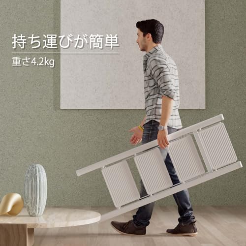 Ngardk 脚立 LD-111 の商品画像 3