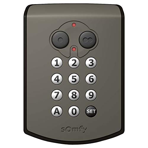 Preisvergleich Produktbild Somfy Funkcodetaster RTS 1841030 2-Kanal Funksender 3660849501853