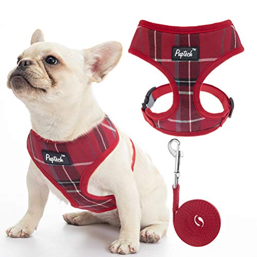 most comfortable dog harness for small dogs