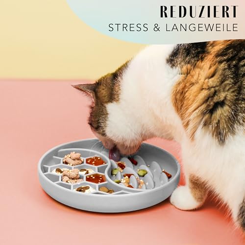 ne&no® Anti Schling Napf für Hunde und Katzen I Slow Feeder I Leckmatte Hund mit großem Saugnapf I Schleckmatte Katze für Nassfutter und Trockenfutter (Stone Grey)