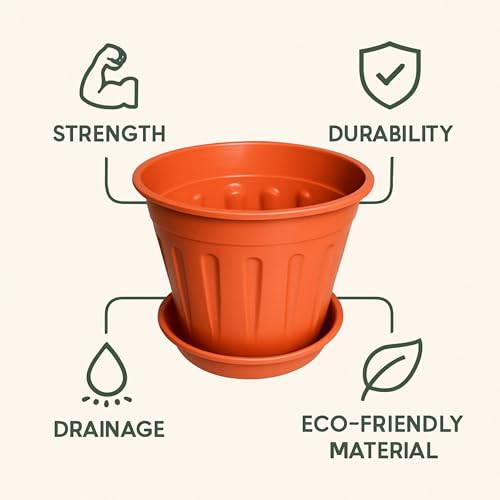 Image of 6 inch Plant Pot with Base Plate (Set of 4 Pot + 4 Base Plate) | Indoor Flower Pot with Saucer | Premium Flower Pots for Plants