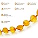 Amber Guru Baltic Amber Necklace (Authentic, Certified) - 12.5 inches - Unisex Jewelry - Raw/Unpolished Real Amber Beads - Proud to Deliver Genuine Baltic Sea Wonder Handmade (Honey)