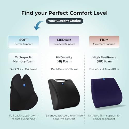 Image of Back Support for Office Chair | 5-Yr-Warranty | Premium Memory Foam Lumbar Support Pillow | Orthopedic Backrest for Lower Back Pain Relief | Ergonomic Desk Chair & Car Cushion (Large)(Black)