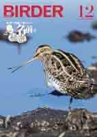 美品【BIRDER 】2023年 Amazon.co.jp: BIRDER (バーダー) 2023年 12月号 [雑誌] eBook