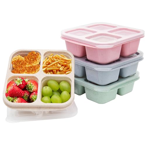 4 Pack Bento Lunch Box,4 Compartment Snack Containers,Divided Bento Snack Box,Meal Prep Containers Kids/Toddle/Adults,Food Storage Containers for School, Work and Travel