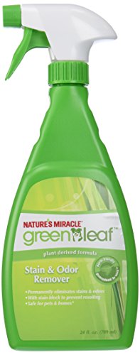 Nature's Miracle Green Leaf Stain & Odor Remover, 24 oz