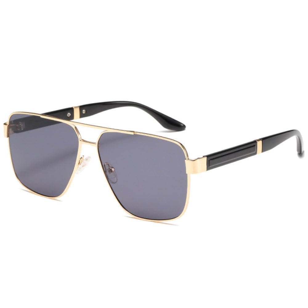 Lunettes de soleil double pont robustes et légères en métal