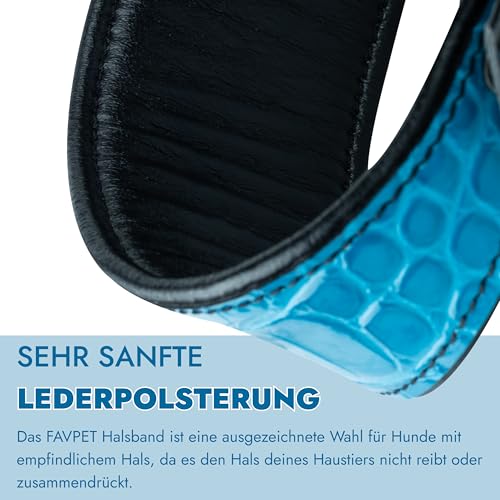 FAVPET Luxus Echtleder Windhund Halsband Breit mit QR Code Anhänger, Weiches Lederhalsband Hund Breit Whippet Italienisches Windspiel Saluki Lurcher Spanischer Galgo Greyhound Podenco (Blau, M)