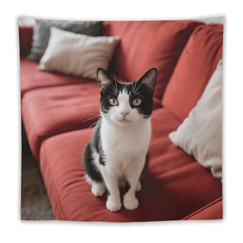 Tapisserie murale bohème chat pour créer un coin lecture cosy dans votre chambre - 3