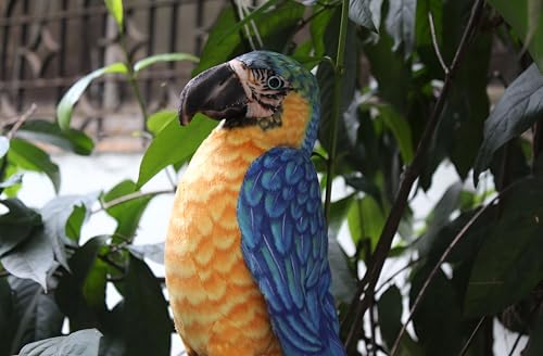 Image of Tickles Cute Parrot Soft Stuffed Plush Bird Toy for Kids Boys & Girls Birthday Gifts (Size: 30 cm Color: Blue & Yellow)