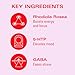 Kin Euphorics Kin Spritz Non-Alcoholic Functional Beverage | Invigorating Booster | Adaptogen & Nootropic Drink | Rhodiola Rosea, 5-HTP, GABA | Ready to Drink | 8 Fl Oz (12pk)